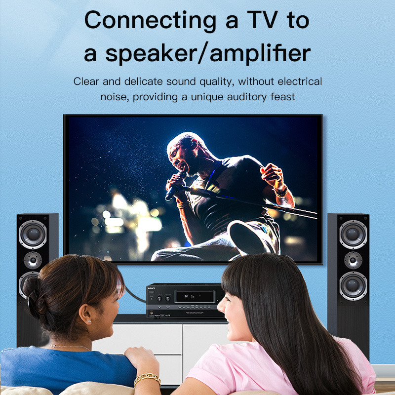 CHOSEAL Kabel RCA Kabel Audio  - Home Cinema Heos ulasan dan harga